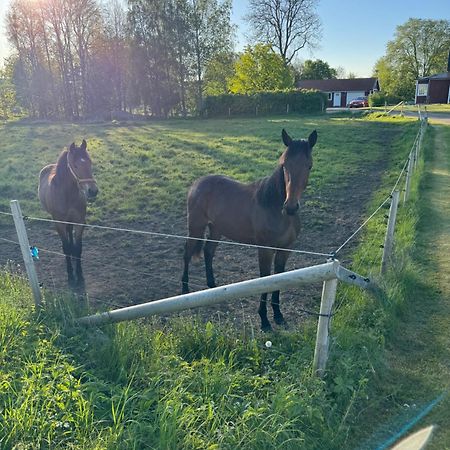 Skattegardens Gaesthus Villa Falköping Екстериор снимка